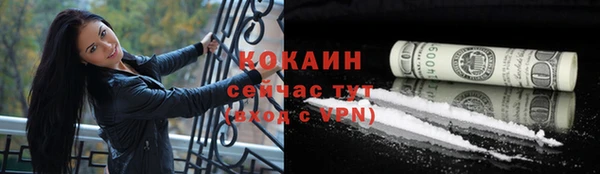 крисы Пересвет