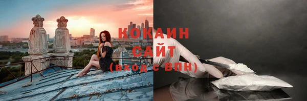 дмт Богородицк