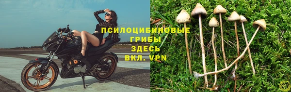 mdma Богородск