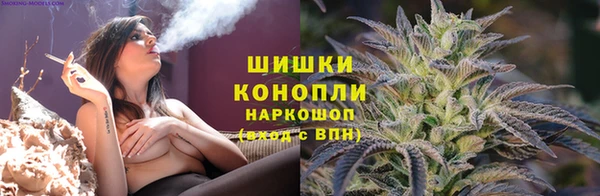 дмт Богородицк