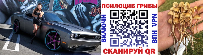 где продают   Клинцы  Галлюциногенные грибы мицелий 